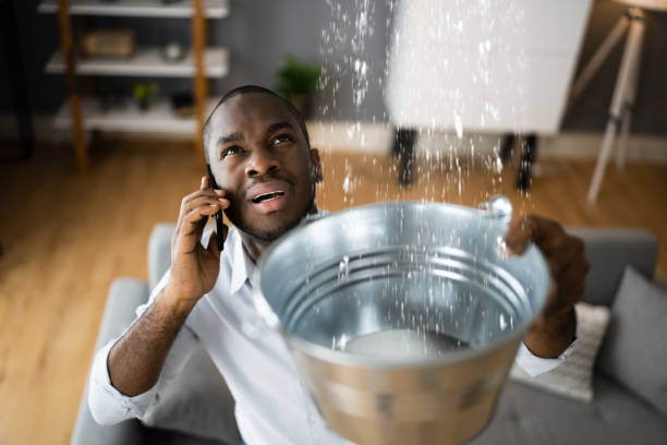 Best Commercial water damage restoration  in St Anthony, MN