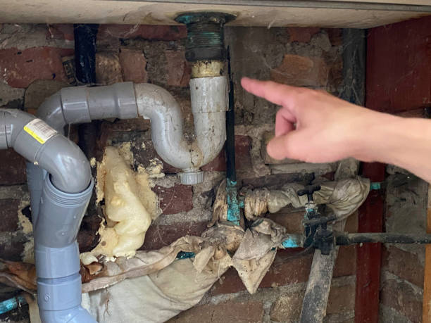 Best Emergency water extraction  in St Anthony, MN